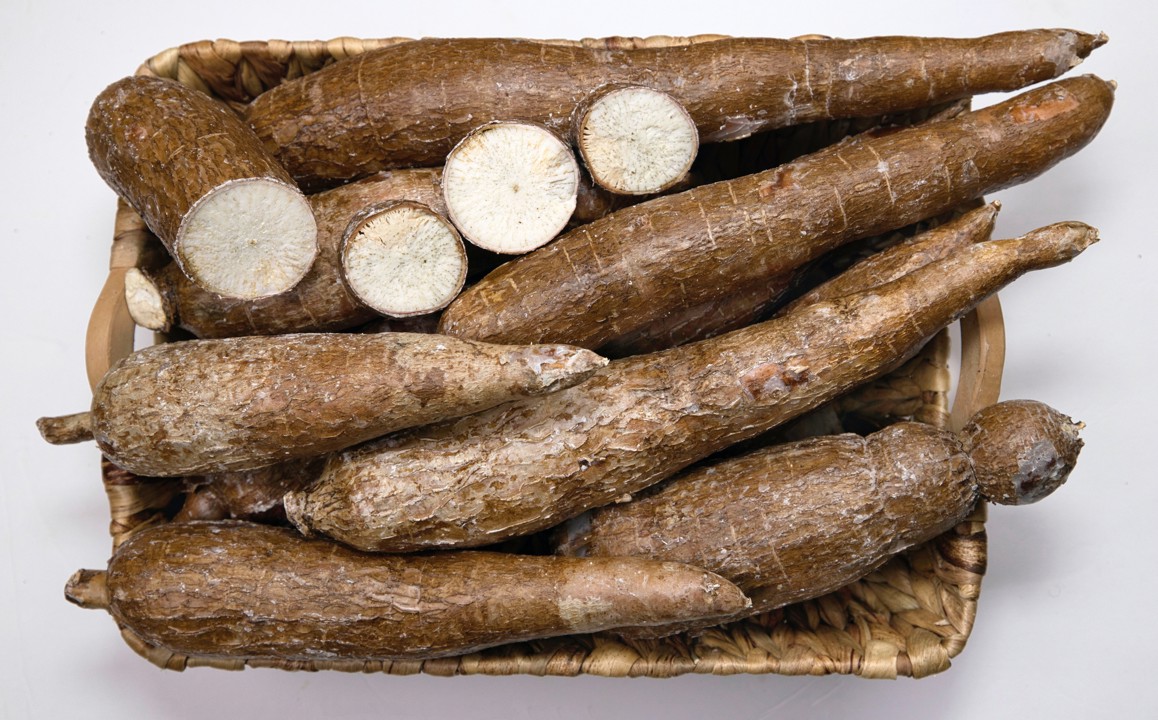 1000minds used for cassava breeding to fight food insecurity